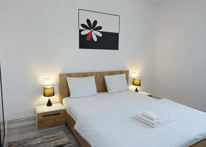 Apartament Balcescu Self Check-in *