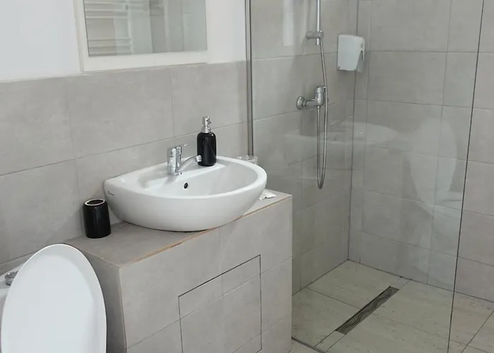 Balcescu Self Check-in Тімішоара